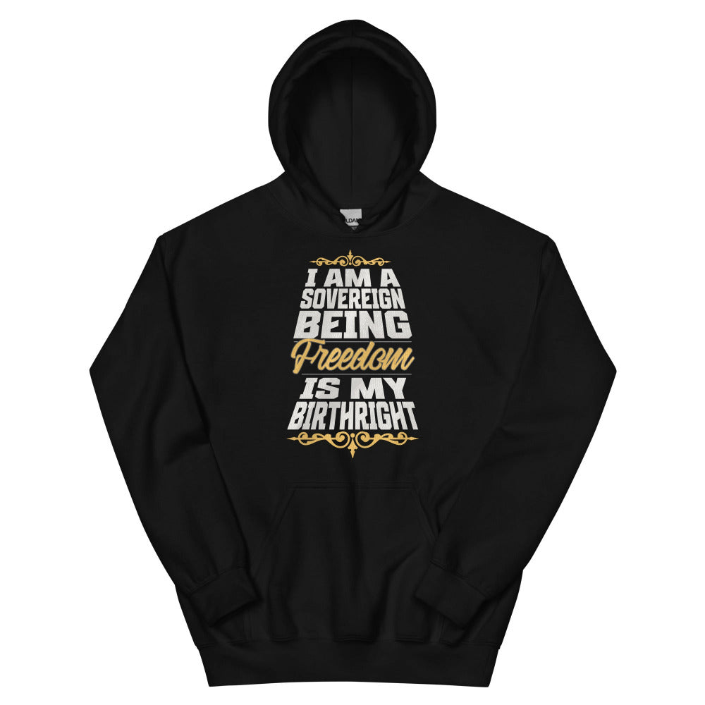 Sovereign Being Hoodie - Black Color - https://ascensionemporium.net